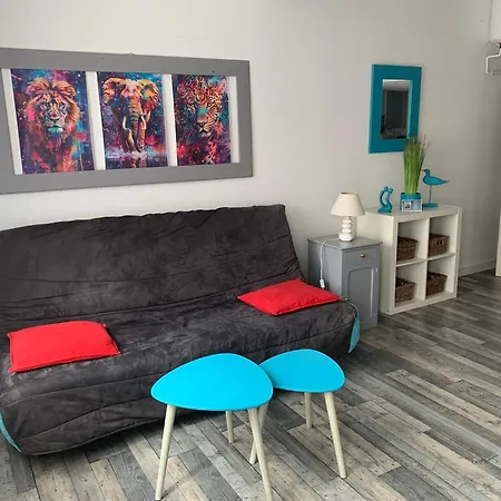 Très Bel Mezzanine De 37m2 Refait à Neuf Appartement Gruissan